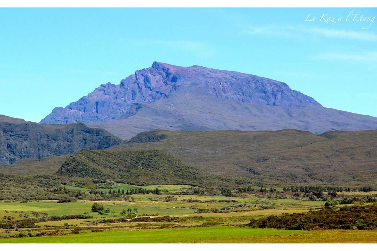 La Kaz A L'Etang - Votre Location De Vacances A L'Ile De La Reunion Saint-Louis Eksteriør billede