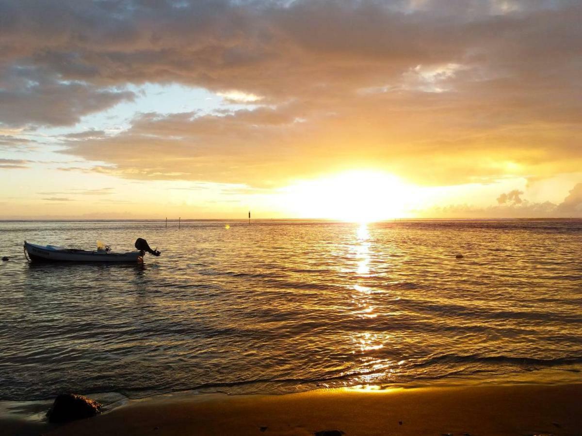 La Kaz A L'Etang - Votre Location De Vacances A L'Ile De La Reunion Saint-Louis Eksteriør billede