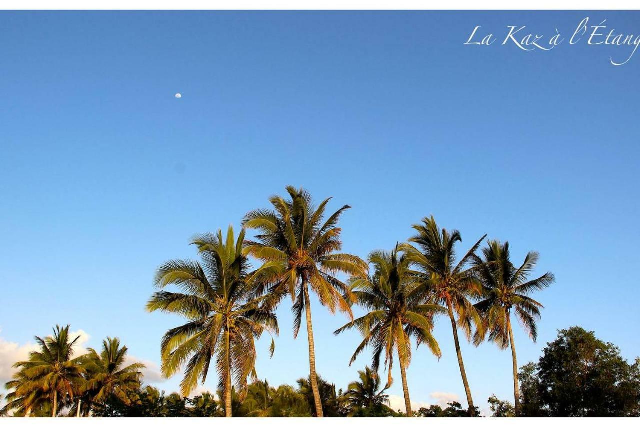 La Kaz A L'Etang - Votre Location De Vacances A L'Ile De La Reunion Saint-Louis Eksteriør billede